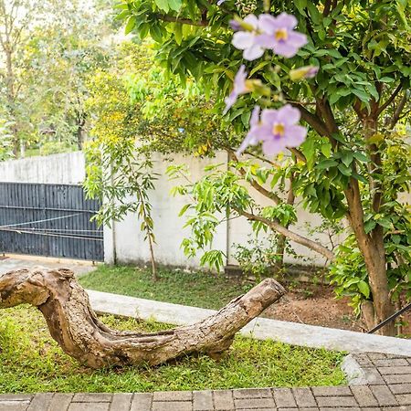 Battaramulla Boutique Villa Sri Jayewardenepura Kotte Bagian luar foto